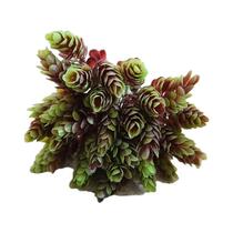 Flores Artificiais Verdes, Pacote Com 30 Peças, Plantas Falsas Decorativas Para Casamento, Natal, Flores Artificiais Verdes, Pacote Com 30 Peças, Plantas Falsas Decorativas Para Casamento, Natal,