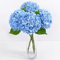 Flores artificiais Yastouay Real Touch Hydrangea Blue x4