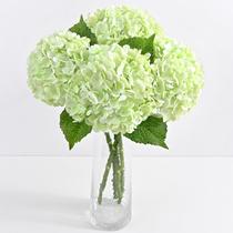 Flores artificiais Yastouay Real Touch Hydrangea x3 verde claro Flores artificiais Yastouay Real Touch Hydrangea x3 verde claro