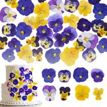 Flores comestíveis prensadas Fangkic Mix Viola Tricolor 40 unidades