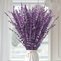 Flores de Lavanda Secas Glicrili 38-43cm 50g Roxa Flores de Lavanda Secas Glicrili 38-43cm 50g Roxa