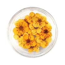 Flores De Narciso E Flor De Ameixa Secas E Prensadas 20pcs Acessórios Para Joias De Resina Epóxi E