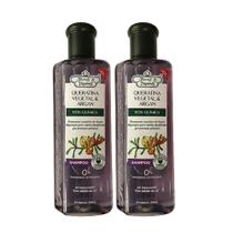 Flores e Vegetais 2un Shampoo Pós-Química