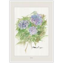 Flores Hortências Arte Aquarela para Quadro Decorativo Decoração Elegante Quadro para Sala A4