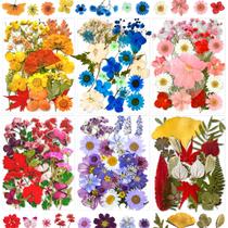 Flores prensadas MIKIYA 150 unidades para resina, artesanato e joias