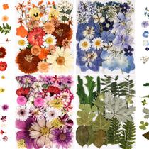 Flores prensadas para moldes de resina nisetten 110+PCS Colorful-C