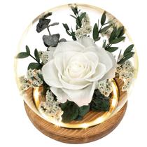 Flores preservadas Regalo Flor Forever Rose com luzes LED Flores preservadas Regalo Flor Forever Rose com luzes LED