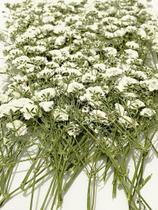 Flores reais secas prensadas UOKWIWI para artesanato em resina Flores reais secas prensadas UOKWIWI para artesanato em resina