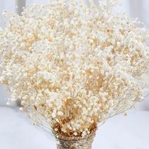 Flores secas Babys Breath Bulk 2000+ - 17 cm, branco marfim