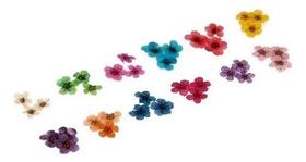 Flores Secas Decoração Unhas Para Encapsulamento Art Nails