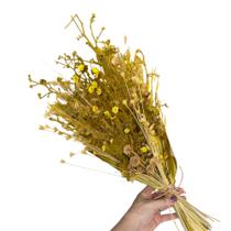 Flores Secas Naturais