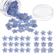 Flores secas Nuanchu Natural Forget-me-Not (50 peças)