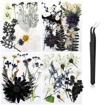 Flores secas Nuanchu prensadas a granel para artesanato com pinça