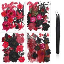 Flores secas Nuanchu prensadas a granel para artesanato com pinça