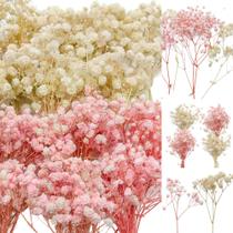 Flores secas para bebês, Gypsophila, rosa e branca, 100 unidades Flores secas para bebês, Gypsophila, rosa e branca, 100 unidades