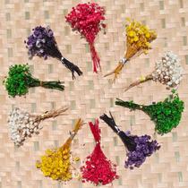 Flores secas para bebês SCINTILLA Ivory Mixed 120 unidades