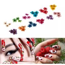 Flores Secas Para Encapsulamento Decoração Unhas Art Nails