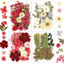 Flores secas para resina, artesanato, resinadores, 100 unidades, vermelhas, naturais