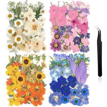 Flores secas prensadas, 200 unidades para scrapbooking de moldes de resina artesanal