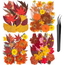 Flores secas prensadas 78 peças com pinça para resina artesanal Flores secas prensadas 78 peças com pinça para resina artesanal
