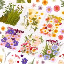 Flores secas prensadas Evatage 124 unidades para artesanato em resina