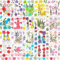 Flores secas prensadas Evatage 200 unidades com pinça para artesanato Flores secas prensadas Evatage 200 unidades com pinça para artesanato