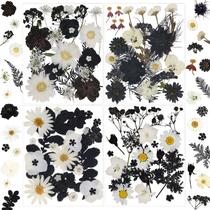 Flores secas prensadas LUCISKY 94 unidades para moldes de resina DIY Flores secas prensadas LUCISKY 94 unidades para moldes de resina DIY