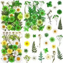 Flores secas prensadas LUCISKY Green 84 unidades para vela de resina Flores secas prensadas LUCISKY Green 84 unidades para vela de resina