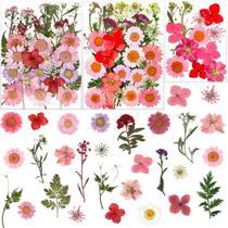 Flores secas prensadas LUCISKY Pink 83 unidades para vela de resina Flores secas prensadas LUCISKY Pink 83 unidades para vela de resina