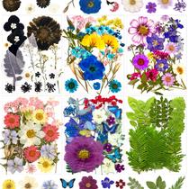 Flores secas prensadas MIKIYA 133 unidades para moldes de resina e artesanato