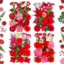 Flores secas prensadas MIKIYA 88 unidades para moldes de resina e artesanato