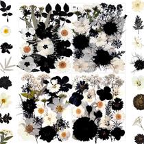 Flores secas prensadas MIKIYA 90 unidades para moldes de resina e artesanato