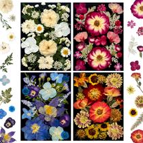 Flores secas prensadas MIKIYA 92 unidades para artesanato em resina e muito mais