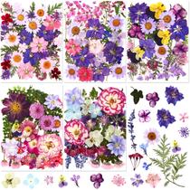 Flores secas prensadas Nuanchu 167 unidades para artesanato DIY