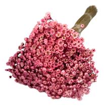 Flores Secas Sempre Viva Rosa Lembrancinha Desidratado Decor Flores Secas Sempre Viva Rosa Lembrancinha Desidratado Decor