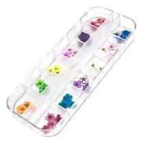 Flores Secas Unhas Decoração Encapsulamento Caixa Uv Led