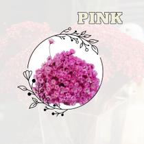 Flores Sempre Vivas Seca Buque Decoraçao Flores Sempre Vivas Seca Buque Decoraçao