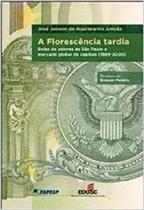 Florescencia Tardia, A - Bolsa de Valores de São Paulo Mercado Global de Capitais (1989-2000)