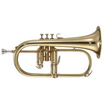 Flugelhorn Michael Wfhm35 Laqueado com Estojo