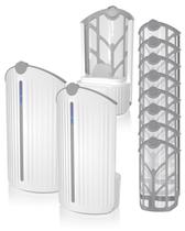 Flying Insect Trap BuggyBands Fruit Fly Indoor Bug Catcher