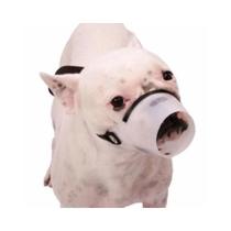 Focinheira