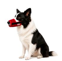 Focinheira Pet Para Cachorro Respirável e Ajustável Tam.