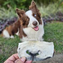 Focinho Ovino 150g - Mordedor para Cães