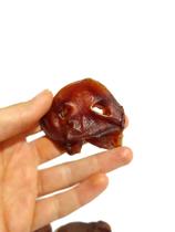 Focinho suíno 5 Unds