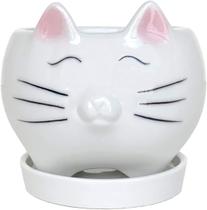 Fofo Desk Planter Gato Suculento Plantador Potes De Pequena Cerâmica