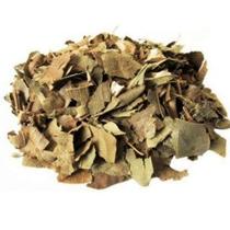 Folha de Abacate 500gr (Erva Desidratada) Folha de Abacate 500gr (Erva Desidratada)