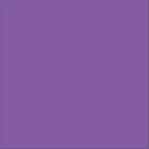 Folha De Eva 40x50 2mm Cor Unica