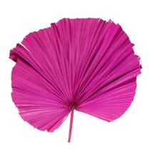 Folha de Latania Pink Desidratada