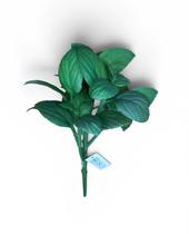 Folha de Majericão Planta Artificial em Plástico 20cm - H8 Folha de Majericão Planta Artificial em Plástico 20cm - H8