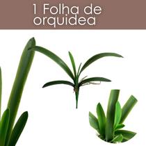 Folha de Orquídea Artificial Premium Haste Longa de Silicone Para Decoração de Arranjos - DE3224
